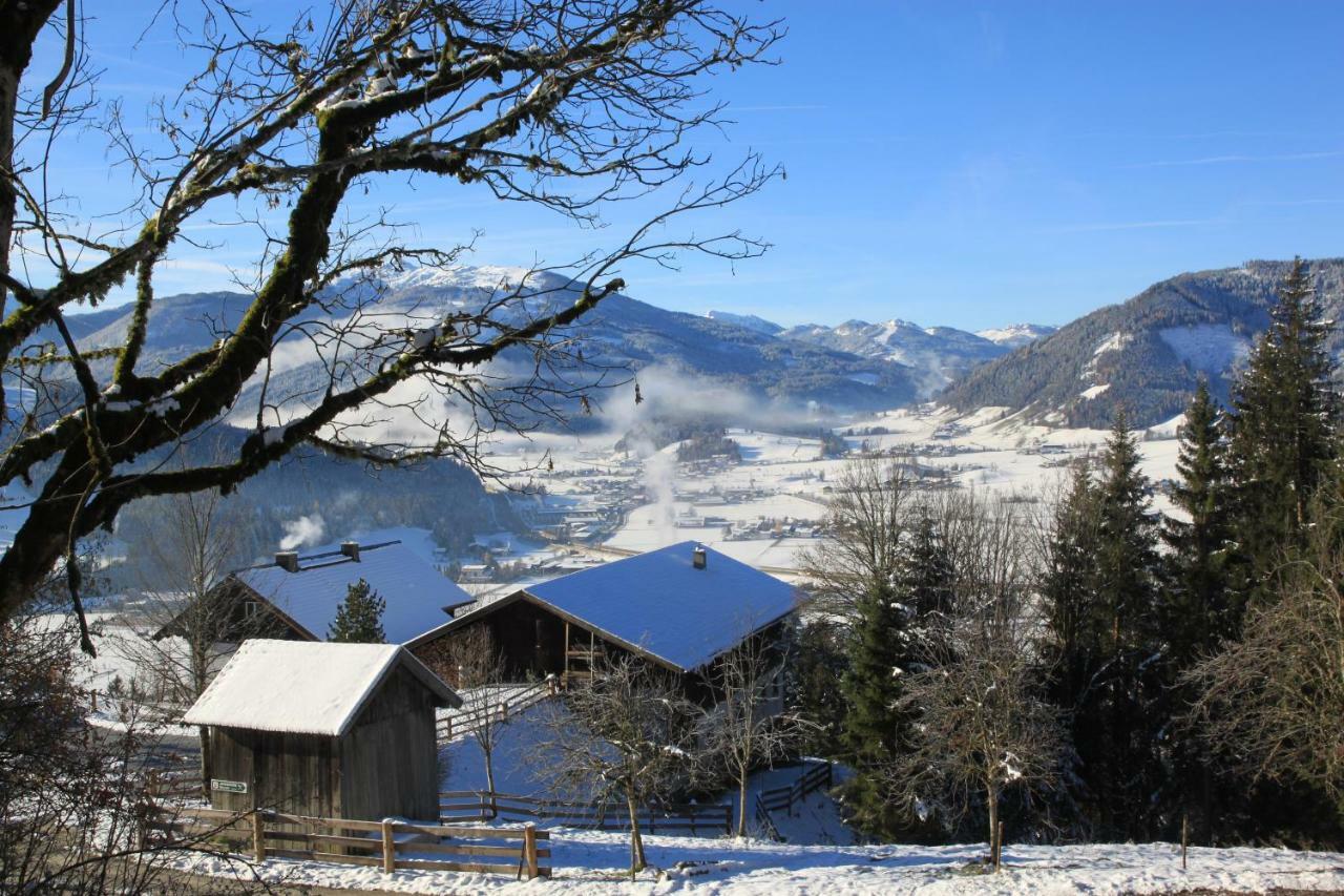 Apartment Poetzelberghof Altenmarkt im Pongau Exteriör bild